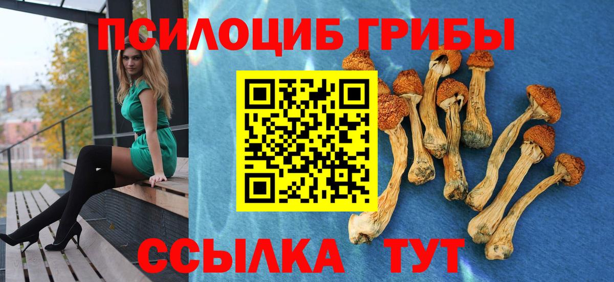 Псилоцибиновые грибы ЛСД Трёхгорный