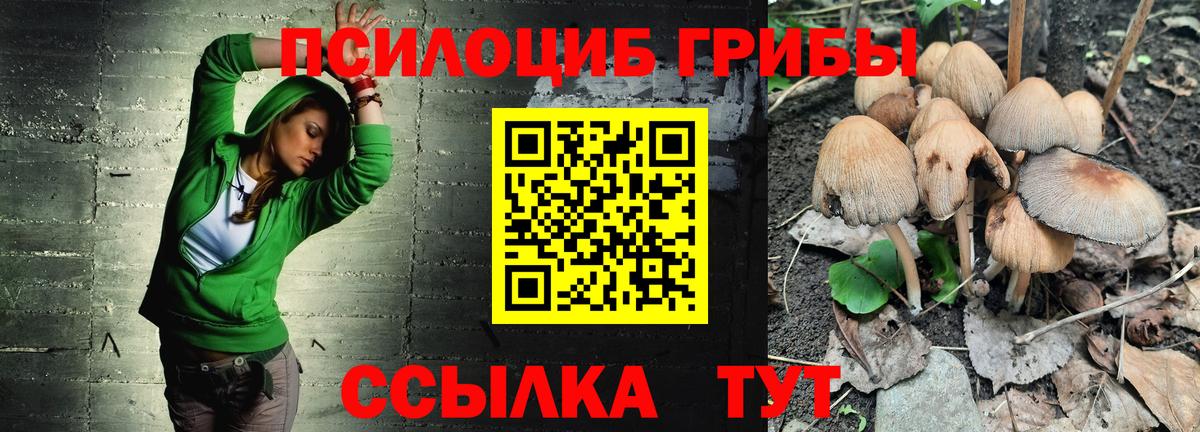 Галлюциногенные грибы Magic Shrooms Трёхгорный