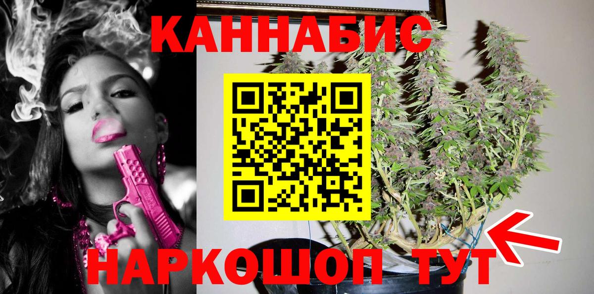 Бошки Шишки планчик  Конопля гибрид  Вход с VPN  Трёхгорный 